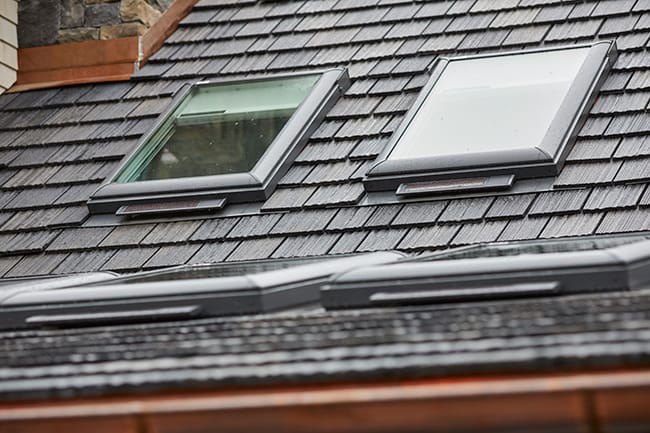 Four skylights on a rain wetted shingle roof